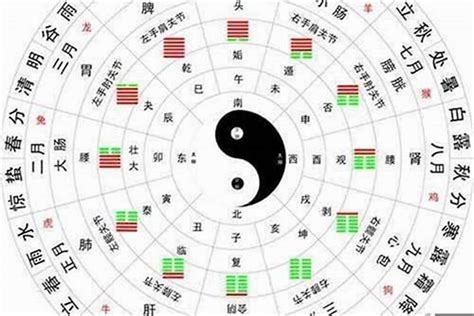 五行多木|八字多木怎么样：要注意什么